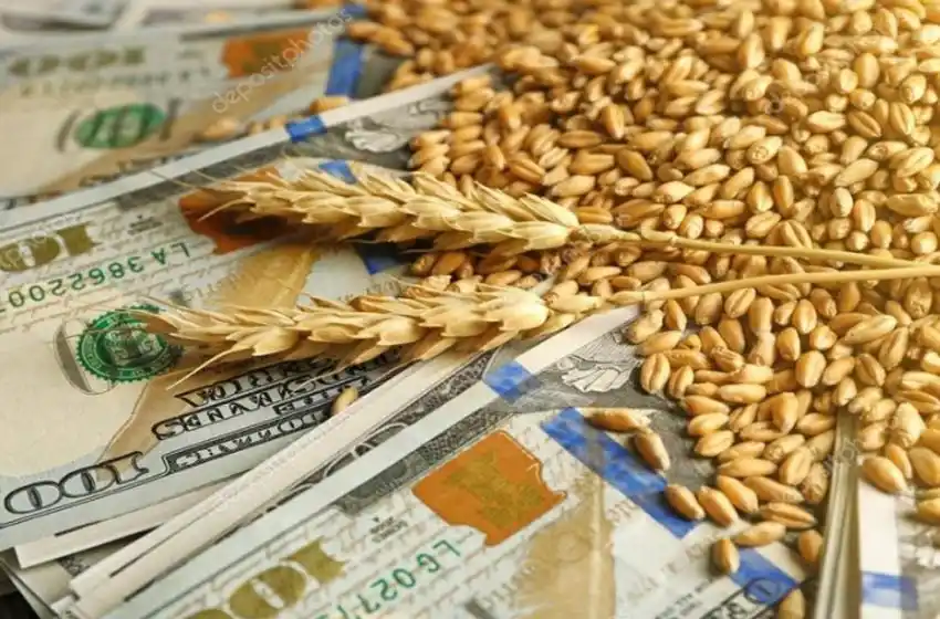 Tomás Layús: «hay que hacer el proceso inverso, bajar los impuestos al agro»