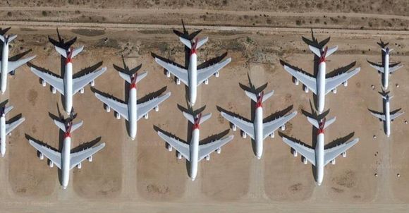 Serpientes y escorpiones, la nueva amenaza en los A380 de Qantas