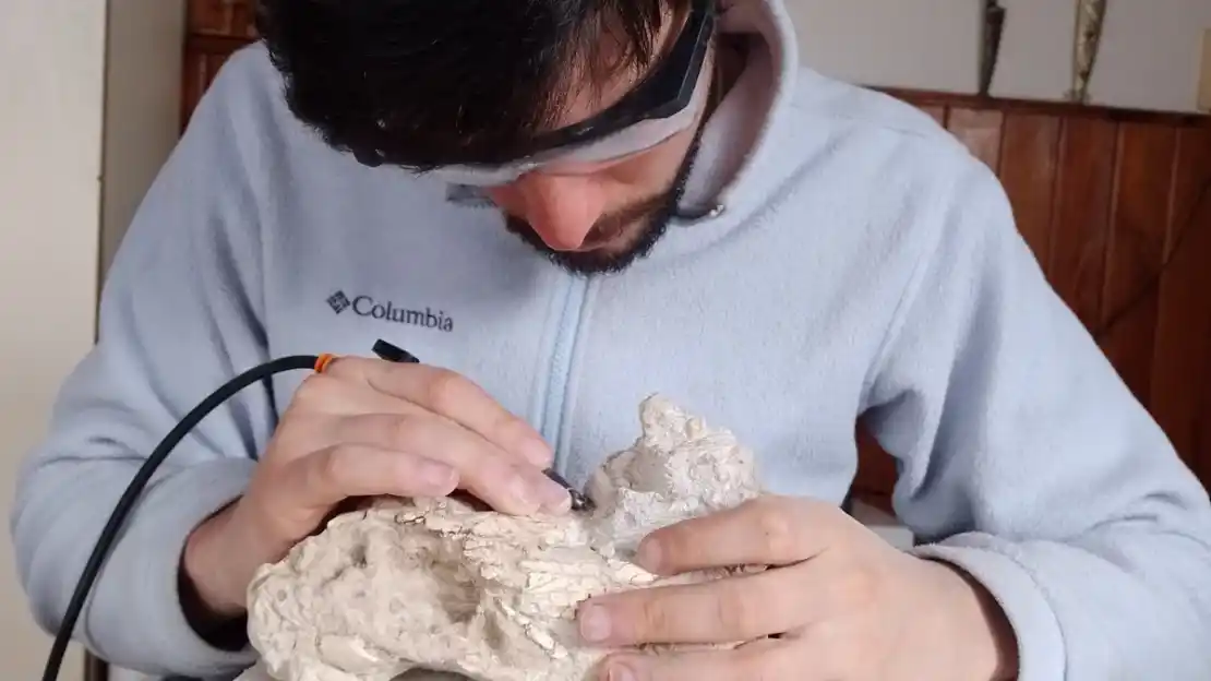 Hallazgo en Labardén