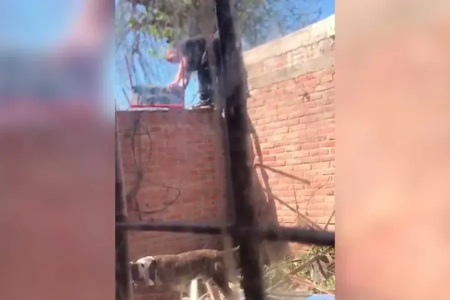 VIDEO | Saltó el tapial para robarle a su vecino, su propia familia lo grabó y entregó a la policía