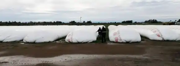 En un operativo de fiscalización,  AFIP incautó casi 7.000 toneladas  de granos sin declarar