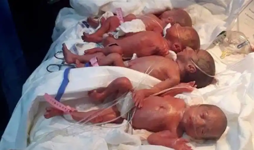 Seis bebés en nueve minutos: los recién nacidos y la madre están bien