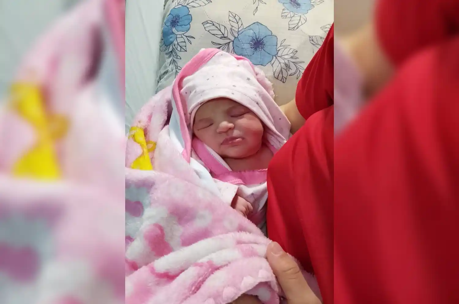 ¡Bienvenida, Amparo!