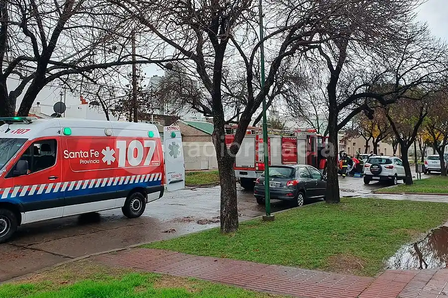 Accidente con un involucrado inusual 