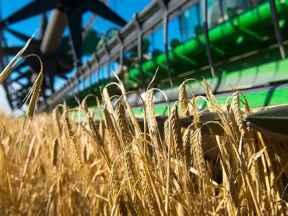 El sector del campo se muestra entusiasmado con la cosecha de la actual campaña