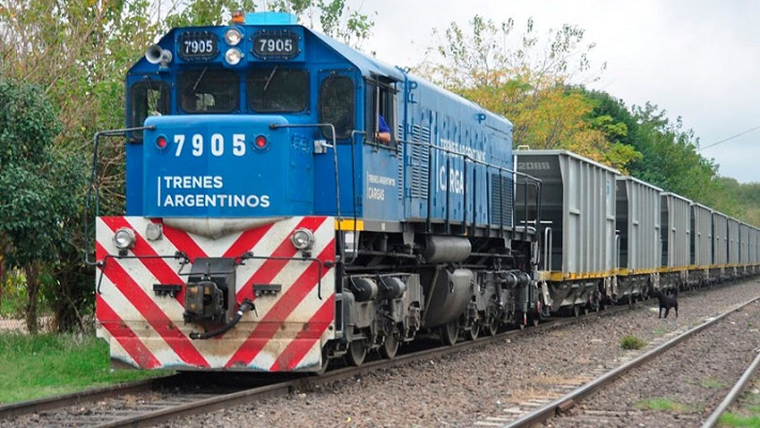 “El tren de cargas volverá a recorrer Entre Ríos”