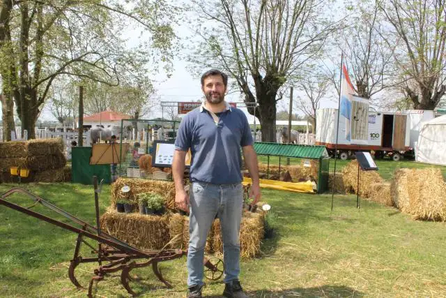 “Tratamos de abarcar la mayor cantidad de producciones”
