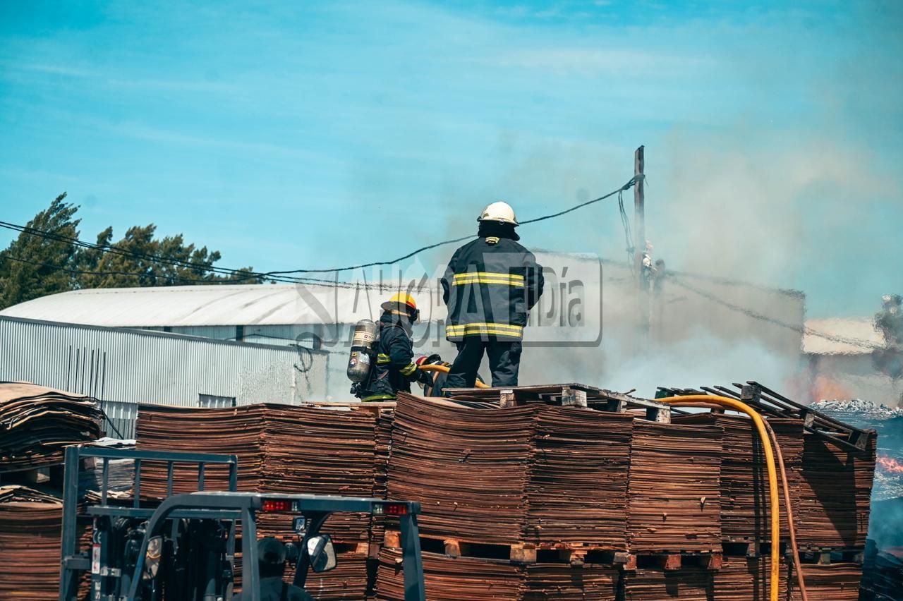 incendio pallets - 9