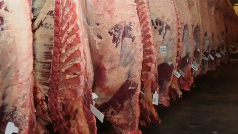 Argentina descendió al puesto 11 en el ranking de exportación de carne