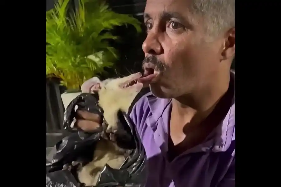 Una broma con un animal salvaje terminó de la peor manera.