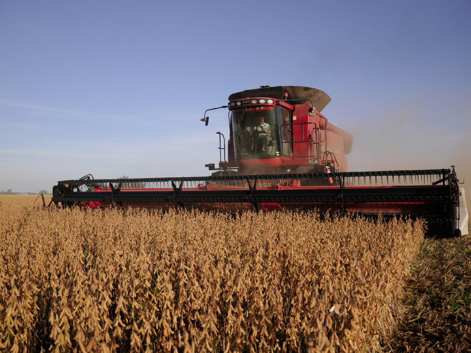 De la mano del campo, la economía empieza a salir de la recesión: creció 2,6% en mayo