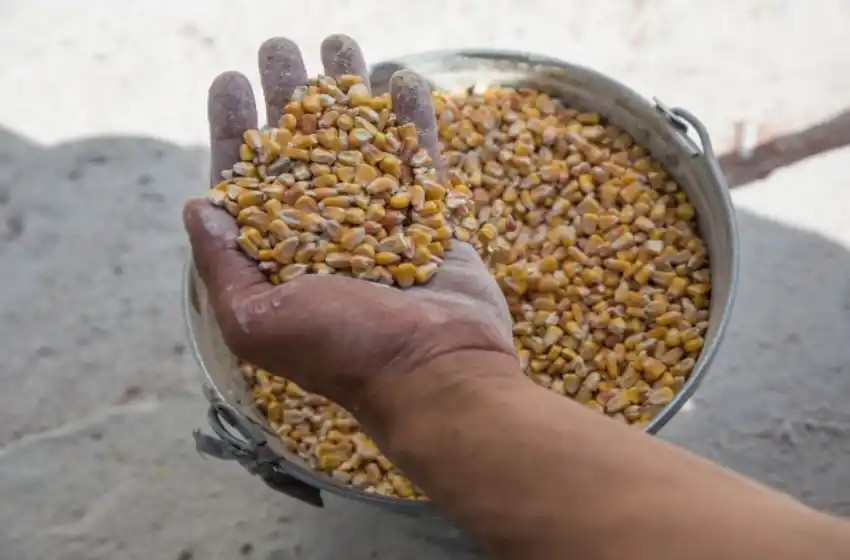 Francia y Rumania firman acuerdo para trasladar granos desde Ucrania