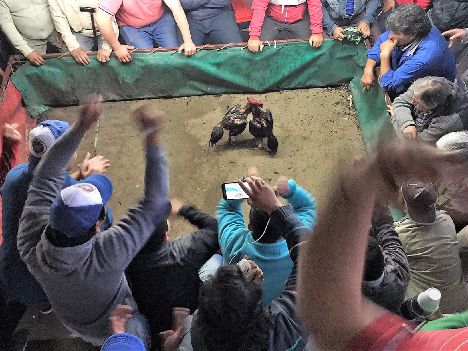 Se detectaron cumpleaños de 15, torneos de truco y riñas de gallos