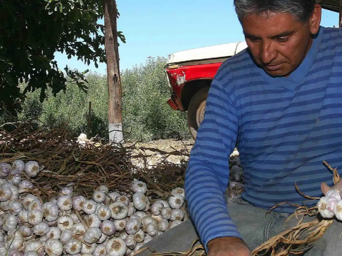 Bajan los derechos de exportación a 207 productos de las economías regionales