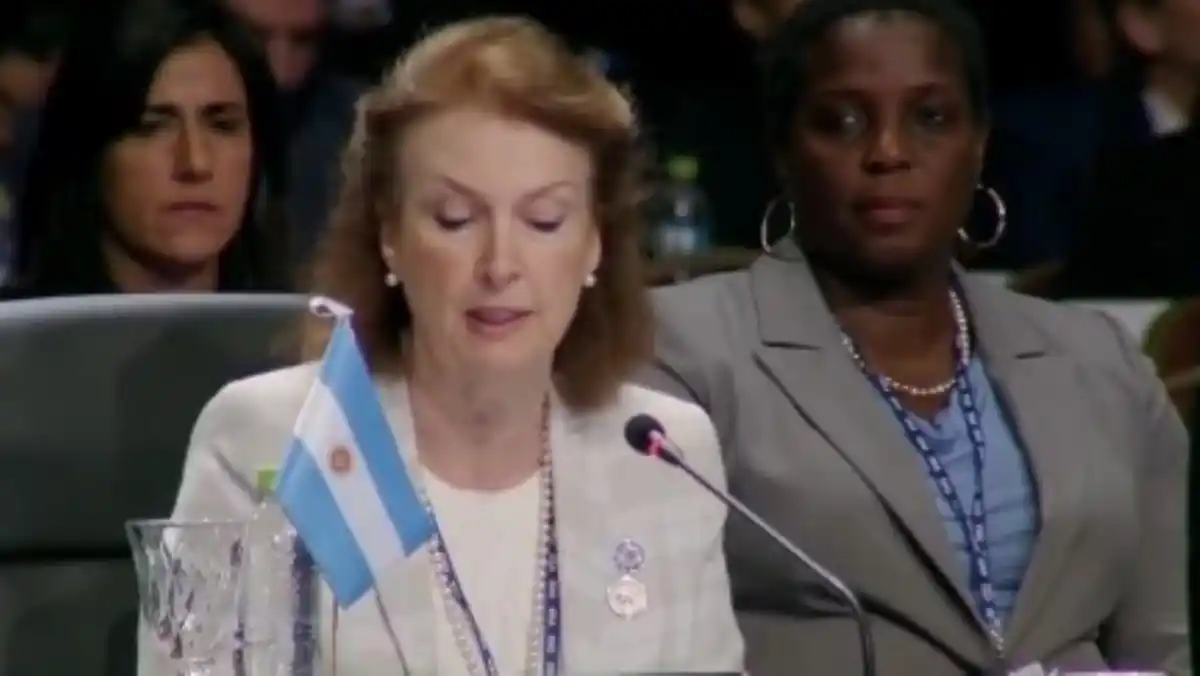 Argentina y Uruguay se pronunciaron en la OEA en torno a la situación política de Venezuela (VIDEOS)