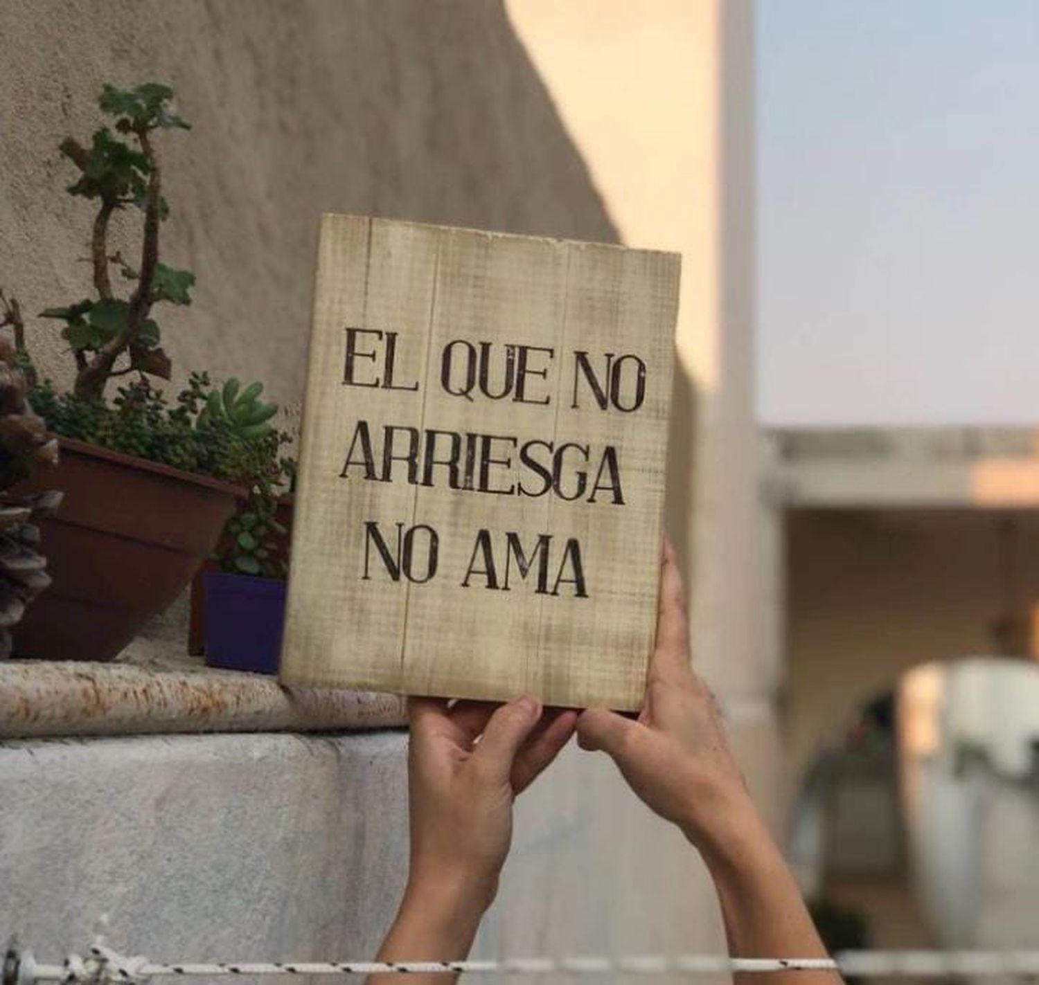 agustina - 3