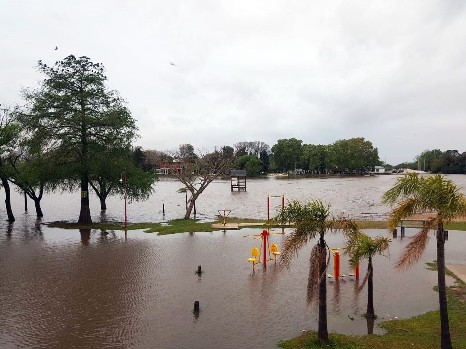 En menos de 24 horas, el río Gualeguaychú creció más de 2 metros