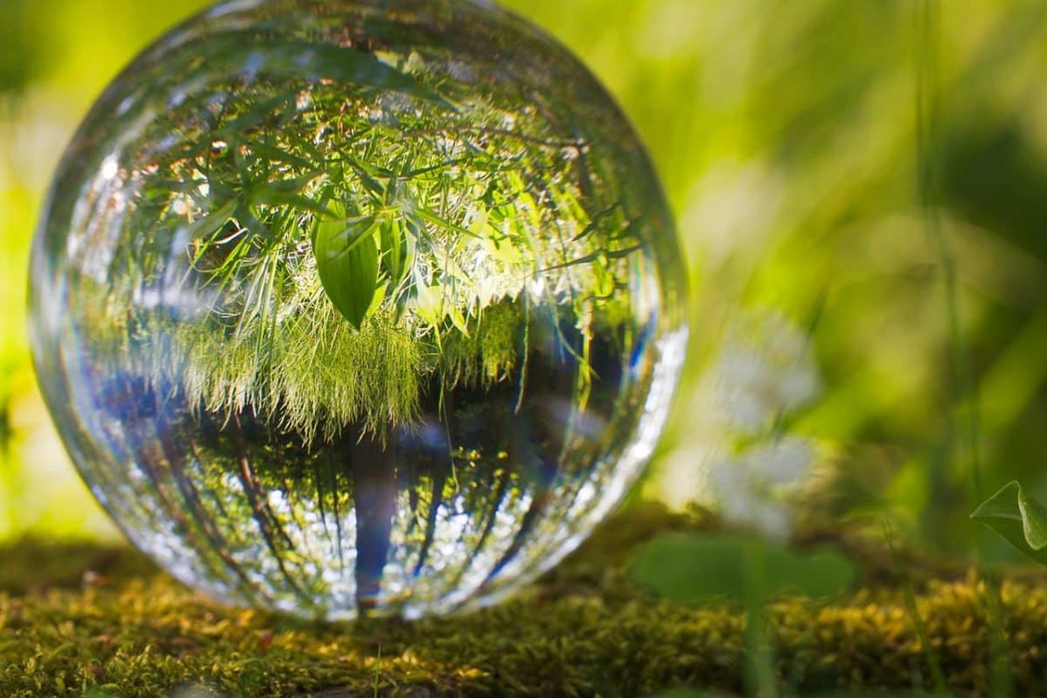 Un debate fundamental: el desarrollo de una economía sustentable