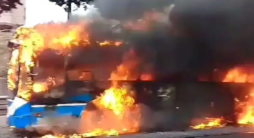 Afortunadamente, no se registraron víctimas.