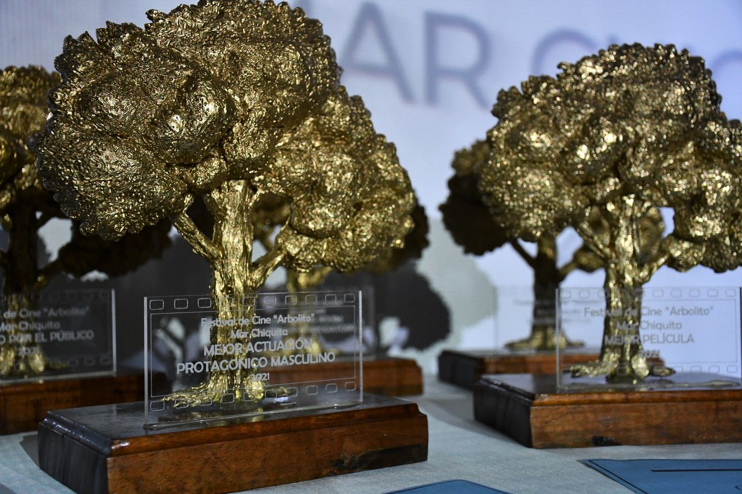 Se viene el 3° Festival de Cine Regional “Arbolito” de Mar Chiquita