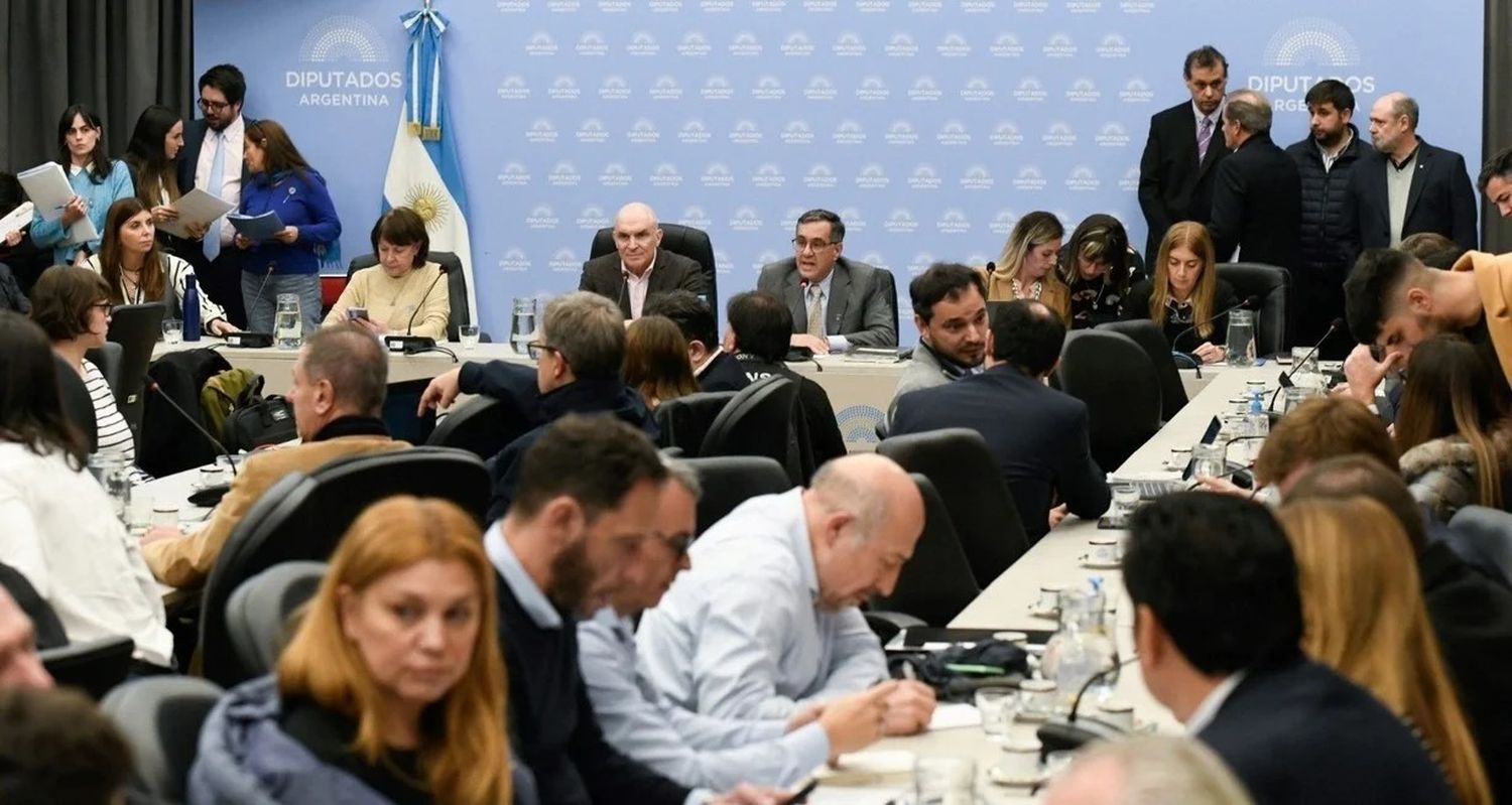 En comisión, los diputados de la oposición estuvieron de acuerdo en no demorar el tema, pero fracasaron en la idea de unificar una propuesta. Foto: HCDN.