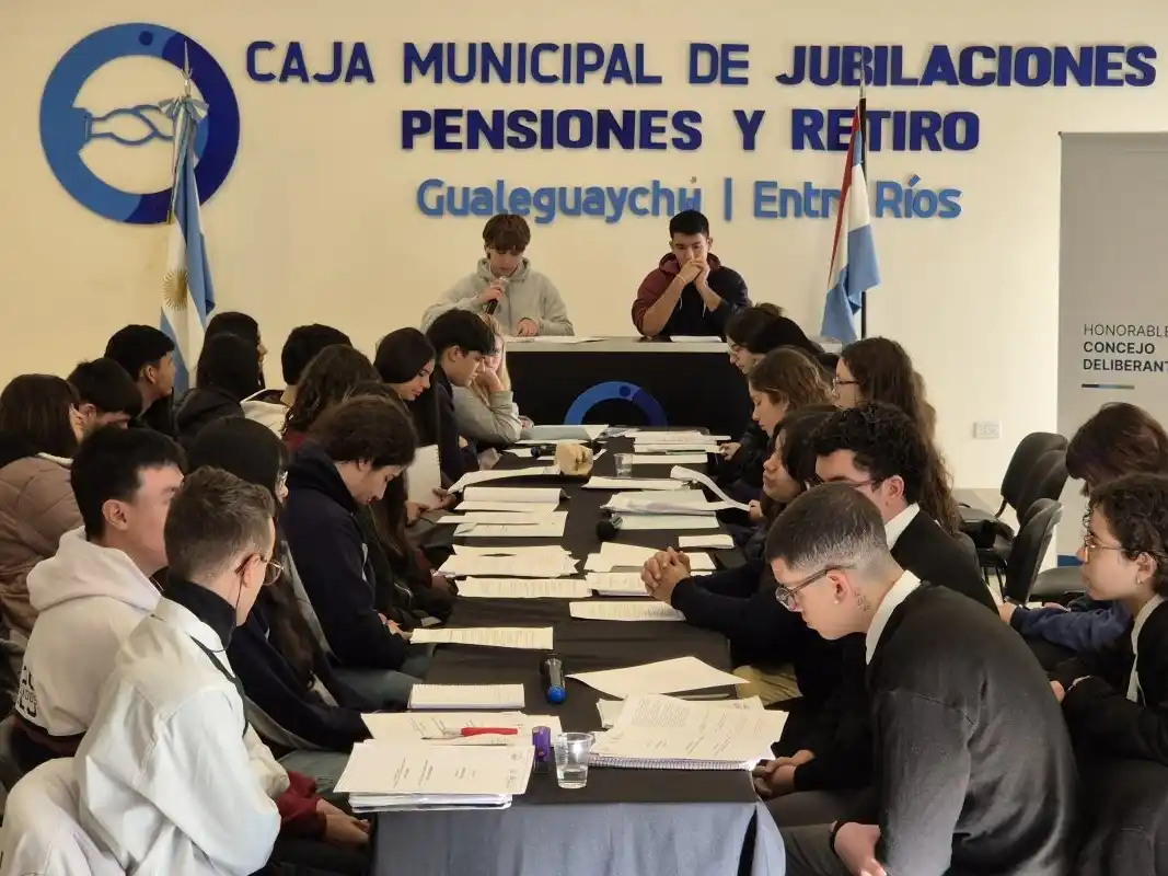 Salud mental, consumo, embarazos adolescentes, ambiente y tecnología: los proyectos presentados por el Concejo Deliberante Estudiantil