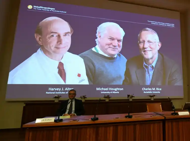 Premio NOBEL de MEDICINA para investigadores que descubrieron el virus de la Hepatitis C