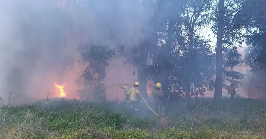 Controlaron un incendio forestal en el establecimiento rural Campo La Margarita
