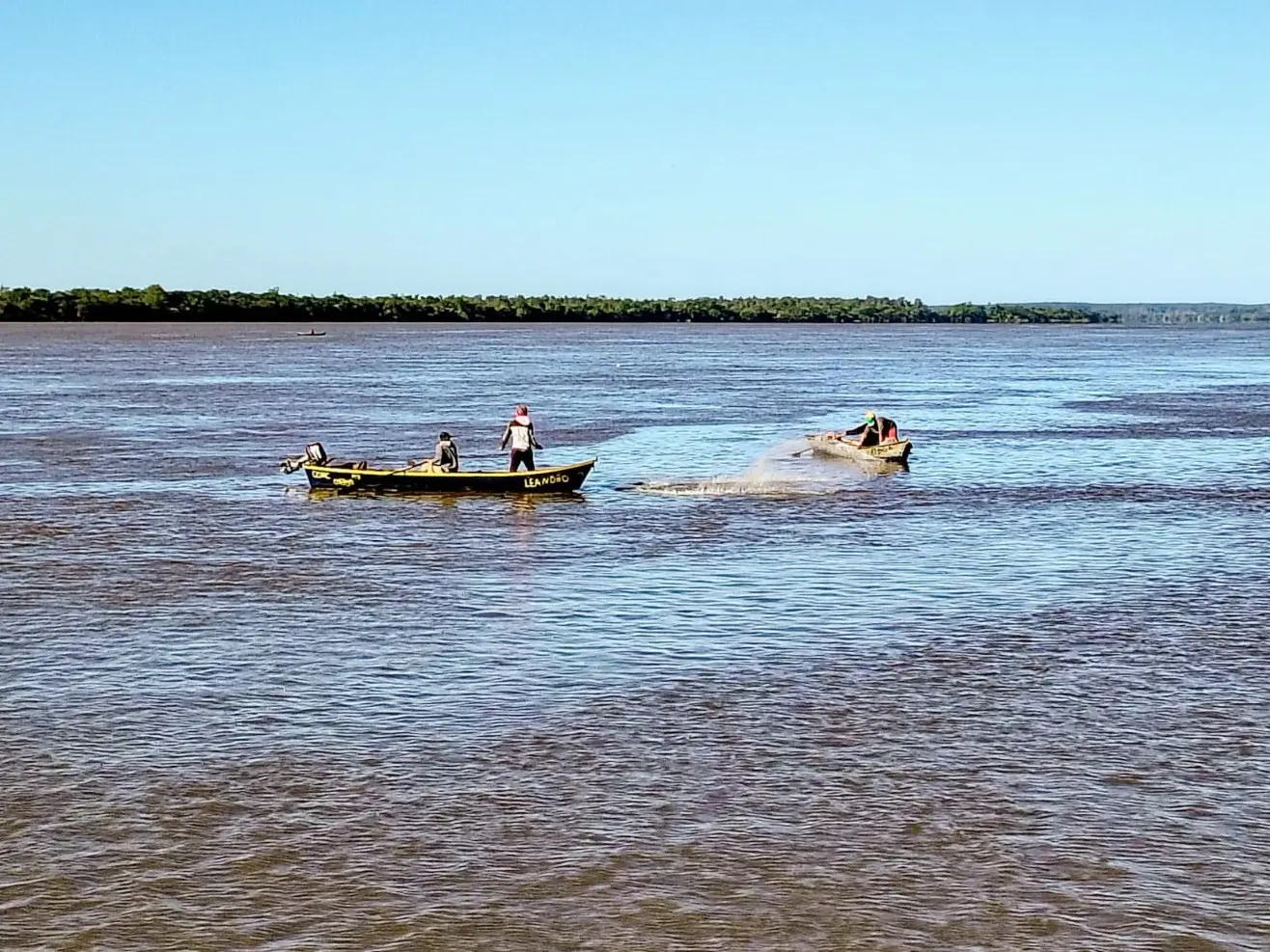 El gobierno redujo más del 60 por ciento el cupo de extracción de pescado para el último trimestre de 2025