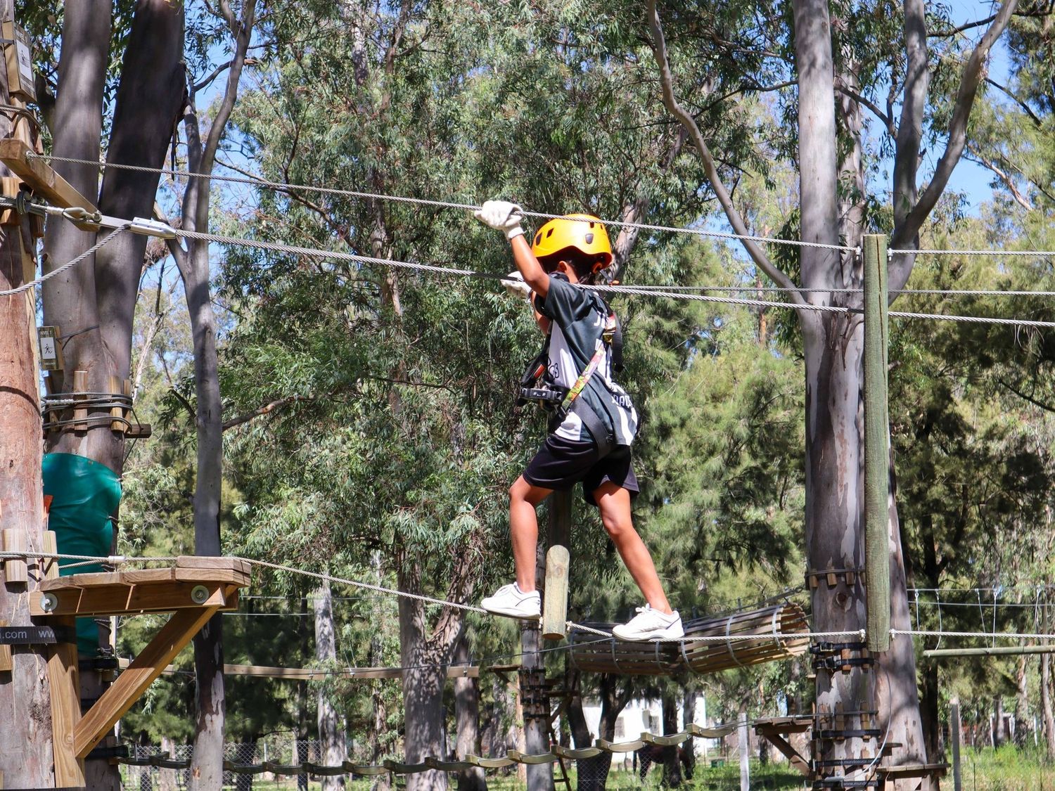 El parque ofrece juegos con diversos niveles de dificultades aéreas.