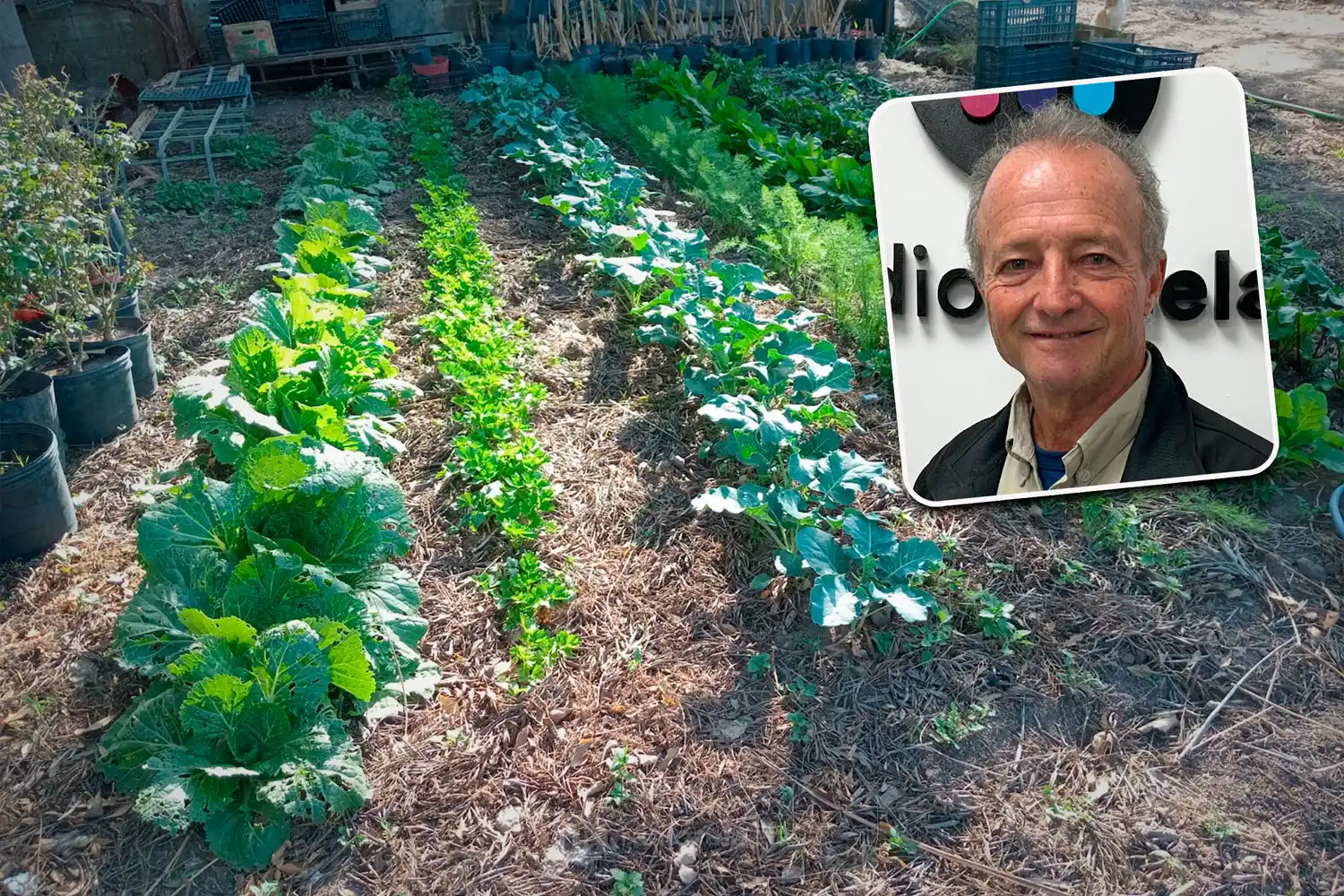 El secreto de la huerta en otoño: ¿qué plantar hoy para cosechar mejor según un ingeniero rafaelino?