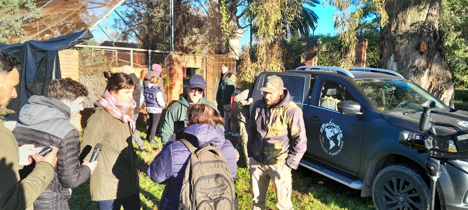 Eran las últimas especies que quedaban en el predio donde funcionaba el zoológico.