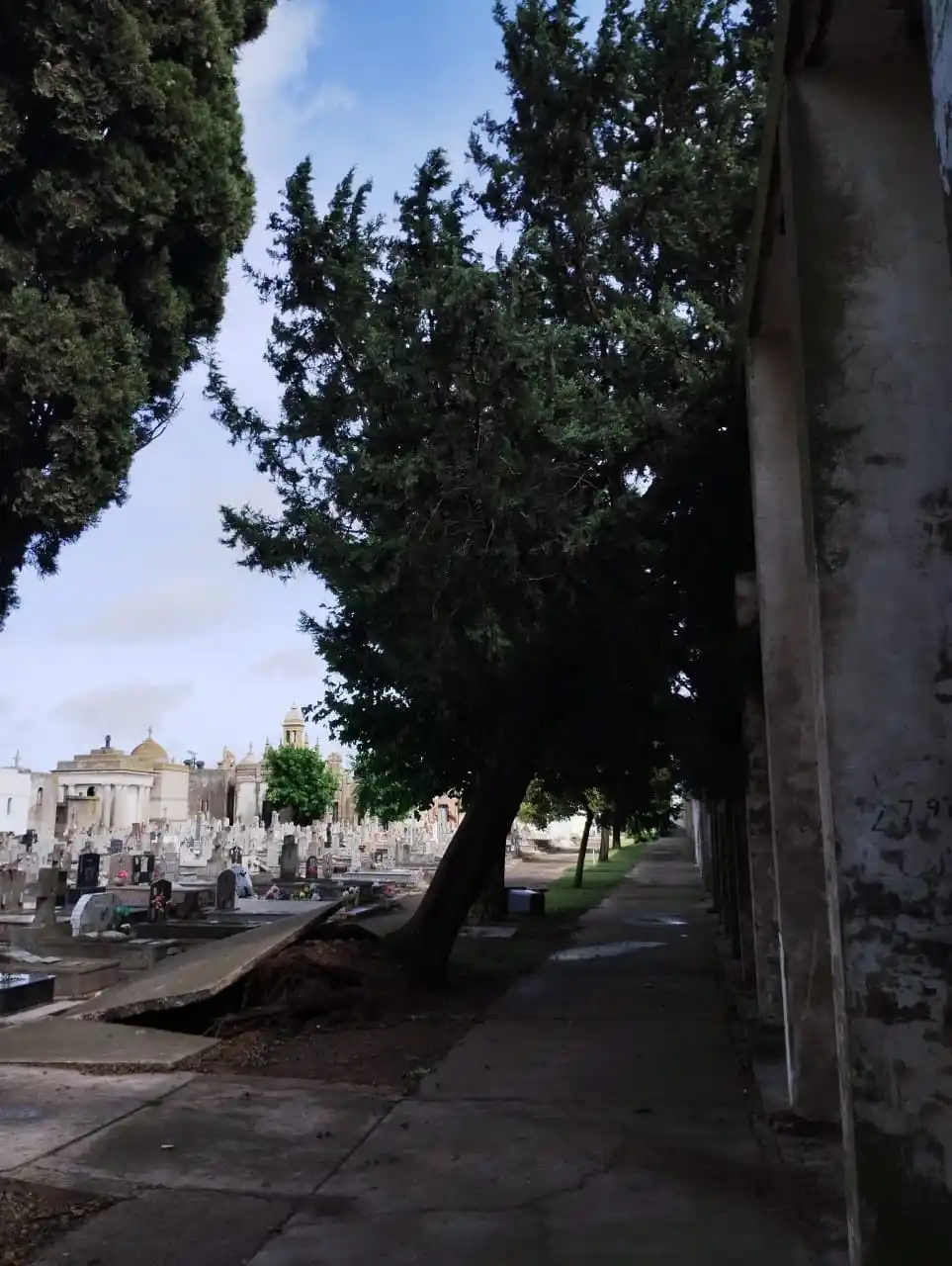 El Cementerio estará cerrado por daños