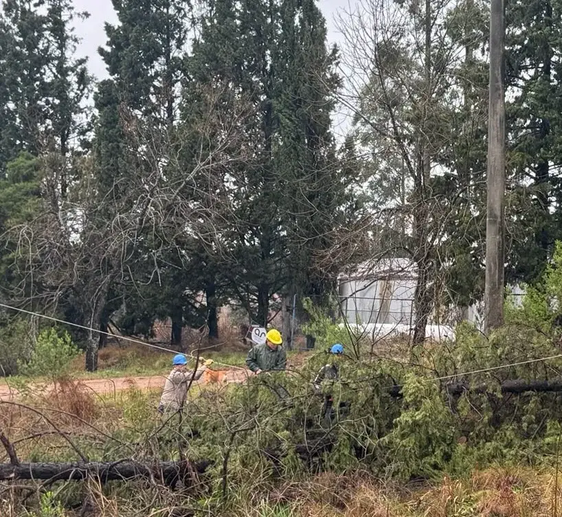 La tormenta provocó daños en la red eléctrica y afectó el servicio en distintos sectores de Concordia