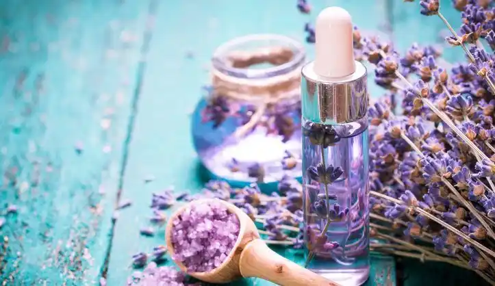 Aceites esenciales: naturaleza para equilibrar tu vida