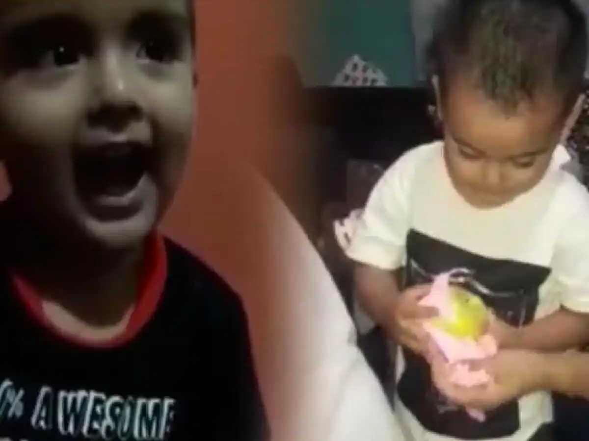 Tiene 3 años y sólo le pidió a Papá Noel una manzana verde: la emoción cuando la recibió