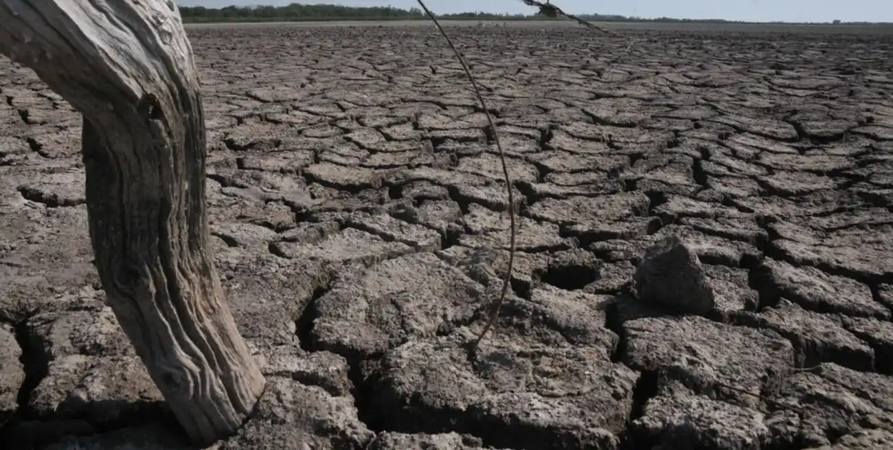 Por este motivo se extendieron plazos para realizar trámites que permitan aprovechar subsidios, créditos o exenciones impositivas.