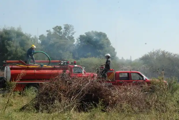 Bomberos sofocaron el fuego en 30 hectáreas de soja en El Potrero