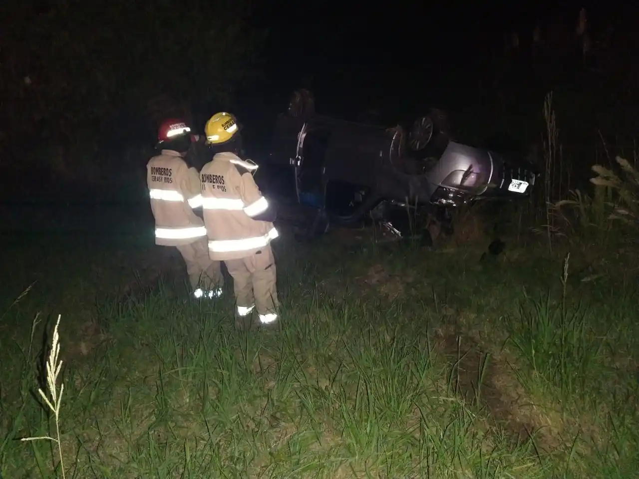 Un toro suelto casi desató una tragedia vial en Ruta 12