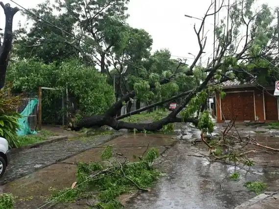 Caótico temporal azota a varias zonas del AMBA: el informe oficial de Provincia