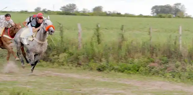 Cuadreras en Arroyo El Cura: La Josefa y Mario Mario se sacarán chispas