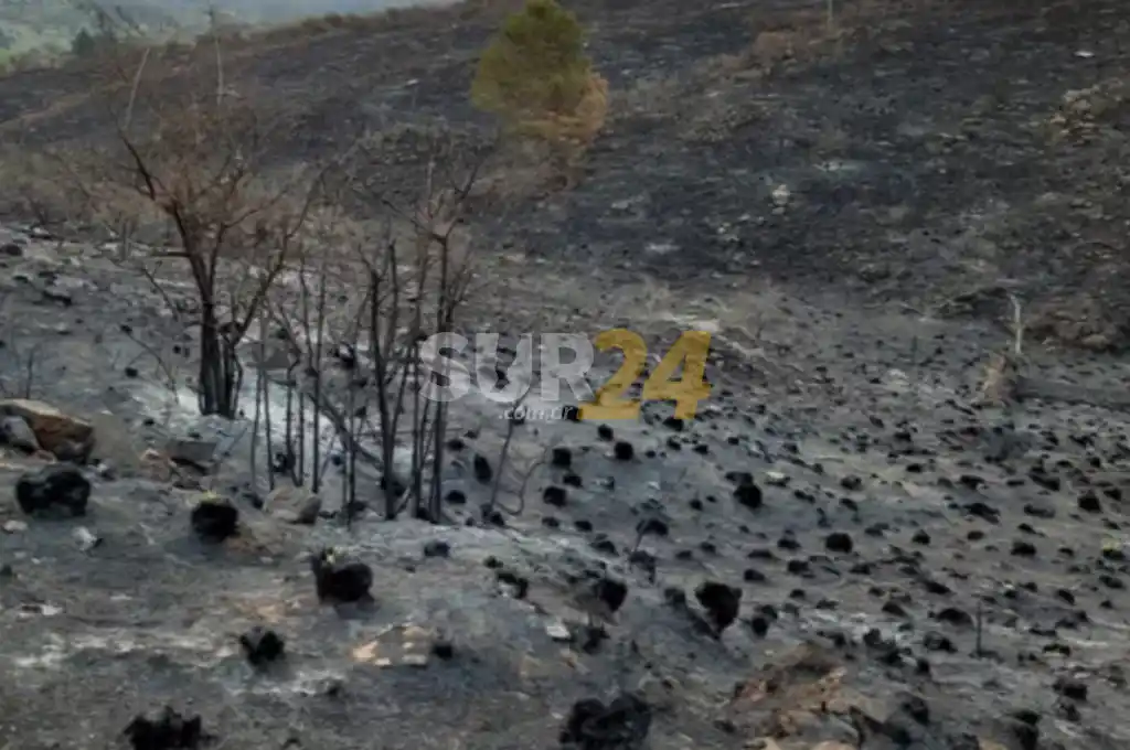 Chubut: declaran la emergencia agropecuaria