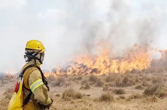 Hay desconcierto por el origen de los focos de incendio en las islas