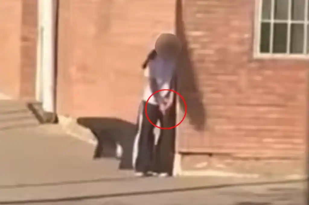 Fotografía: Agencia Noticias Argentinas/captura de video