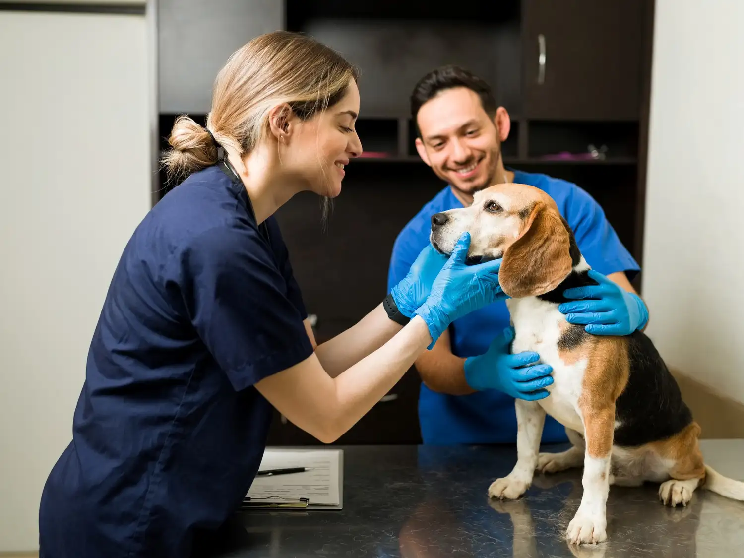 El día del Veterinario se celebra cada 6 de gasto (Argentina).