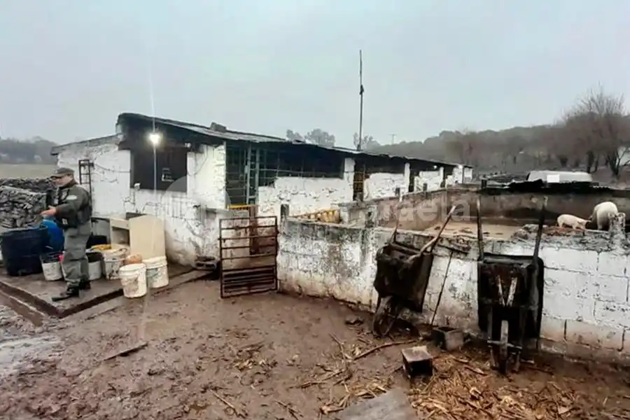 Explotación laboral: rescataron a 403 víctimas de trata de personas tras megaoperativo de Gendarmería