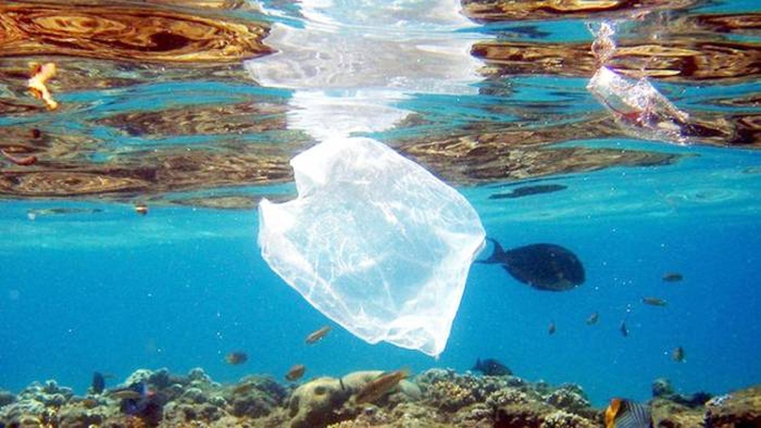 Hay al menos 10 veces más plástico en el Atlántico de lo que se pensaba