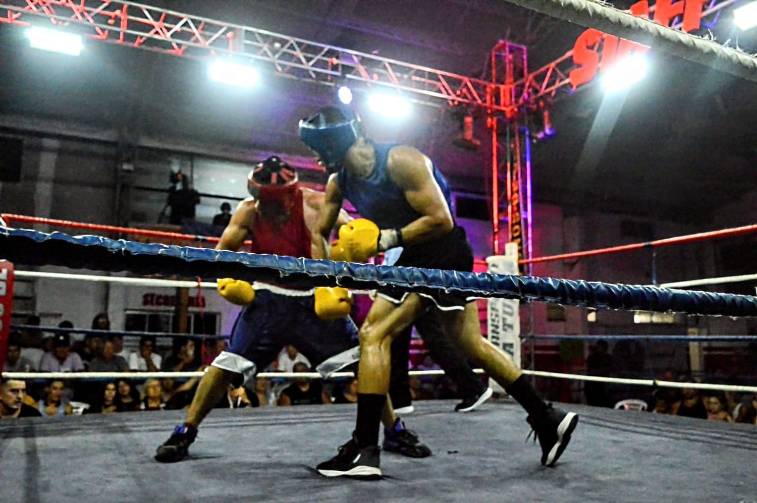 Boxeo - 1