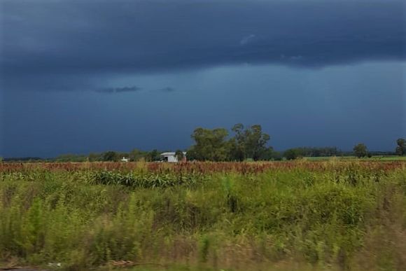 Temporal: rige alerta meteorológica por “lluvias intensas y ráfagas de viento”