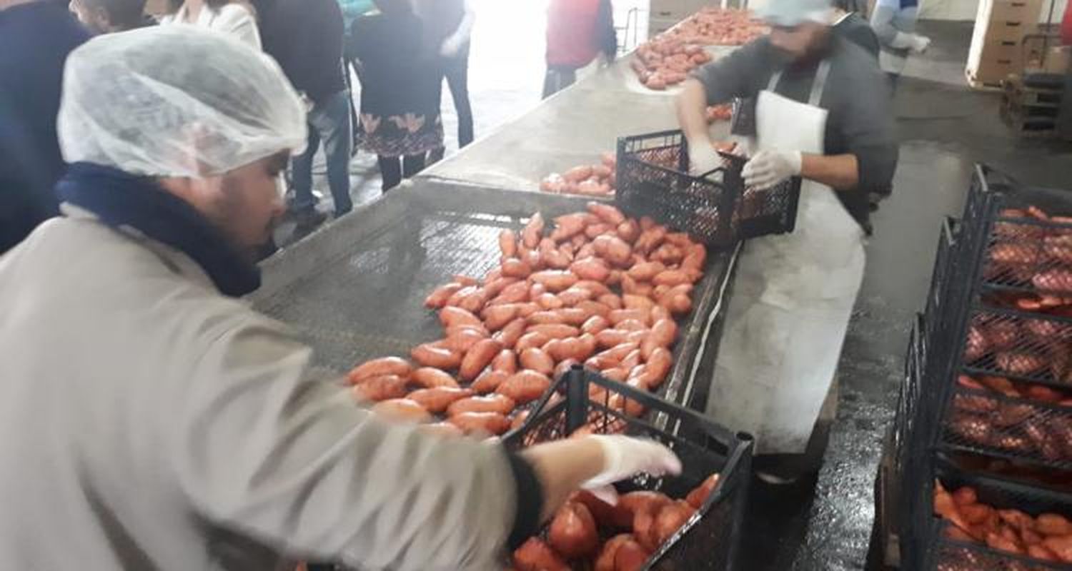 Batatas a Inglaterra: “Esto es un orgullo para nuestra familia y también para San Pedro vemos que significa mucho”
